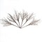 6 PCS Artificial Cream & White Pip Berry Stems – 16.5 Inch Winter Christmas Berry Picks, Bendable Branches for Holiday Vase Fillers, Centerpieces & Home Decor